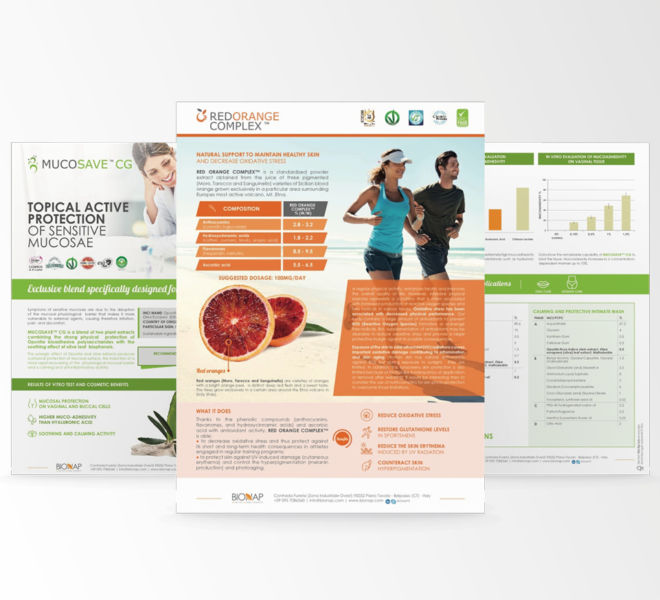 BROCHURE CORPORATE IPRESS10