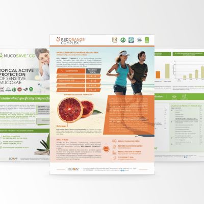 BROCHURE CORPORATE IPRESS10