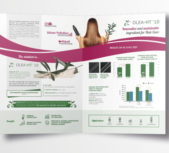 BROCHURE CORPORATE IPRESS11