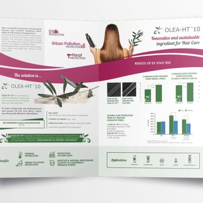 BROCHURE CORPORATE IPRESS11