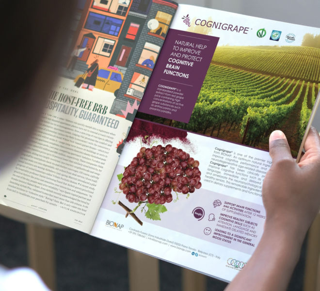 BROCHURE CORPORATE IPRESS12