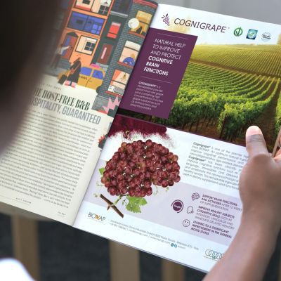 BROCHURE CORPORATE IPRESS12