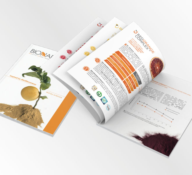 BROCHURE CORPORATE IPRESS9