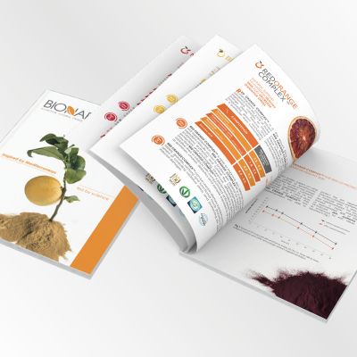 BROCHURE CORPORATE IPRESS9