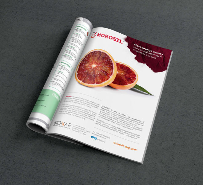 MAGAZINE-PSD-MOCKUP-bionap