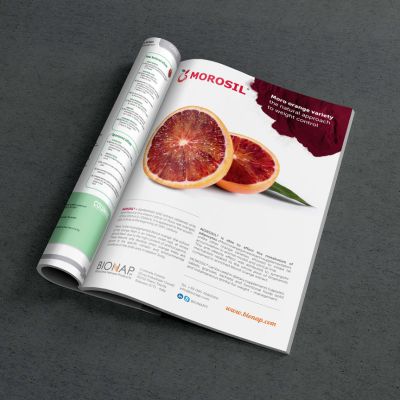 MAGAZINE-PSD-MOCKUP-bionap