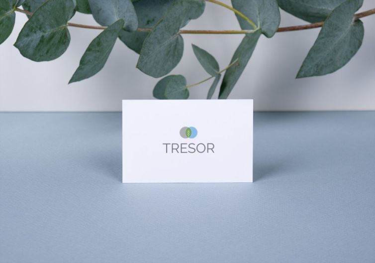 TRESOR PROJET