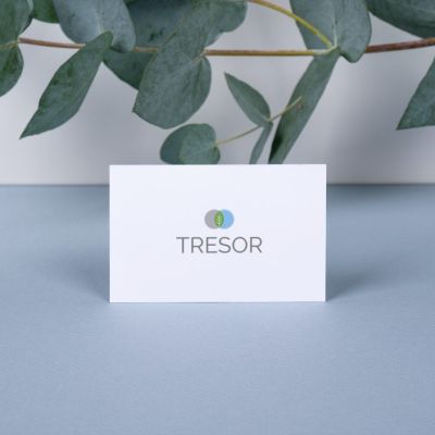 bv tresor